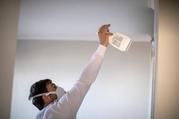 Trusted Ledbetter, KY Mold Removal Experts